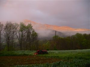 Foggy Broadwing Farm